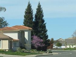  Bradley Estates Dr