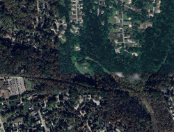  Tanbark Dr