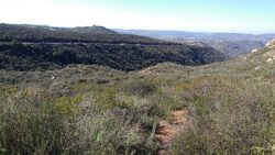  Eucalyptus Heights Rd
