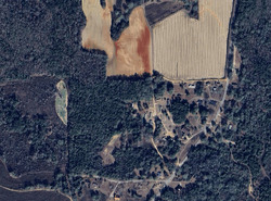  County Road 225