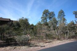  E Scarlet Bugler Cir