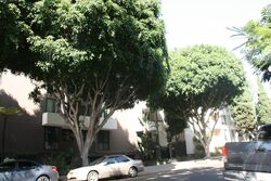  N Kings Rd
