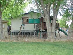  1/2 Globe Willow Ave