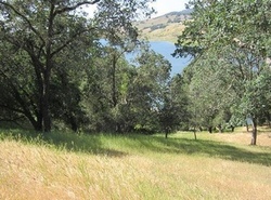 Morgan Hill