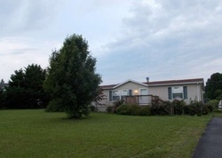 Pleasant Pine Cir