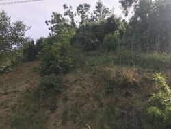  Loma Vista Pl