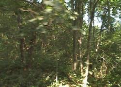  N Cove Rd