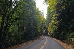  Dana Dr Nw