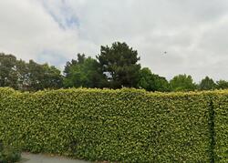  Endsleigh Ave