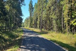 Poplarville