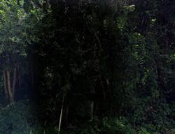 Nanjemoy