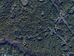  Foxtail Ln