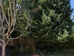  46th Ave S