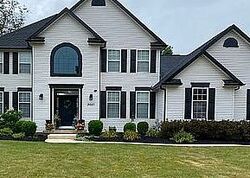  White Tail Cir