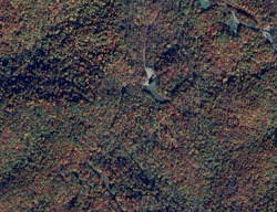  Panther Branch Rd