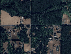 Winlock