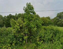  Sanders Hill Rd