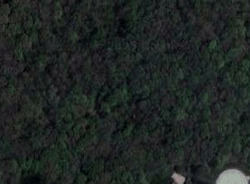  Ascot Ln