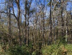  Cherrytree Rd Ne