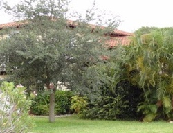  S Palmway