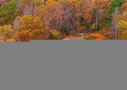  Central Tree Rd