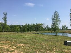  Scenic View Trce