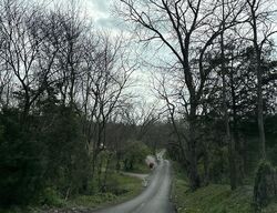  Marble Creek Ln