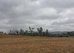  Mapes Rd