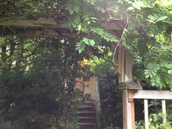  33rd Ave Ne