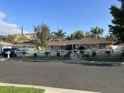  Artrude St
