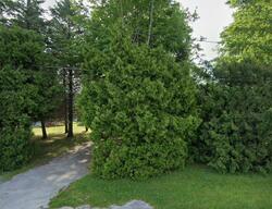  Bradner Rd