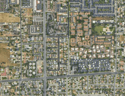  S Palmetto Ave