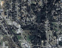  Forest Ave