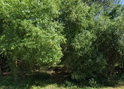  Sylvan Cir