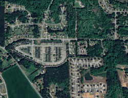 Palmetto