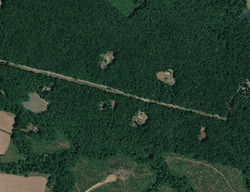  Blueberry Hill Dr