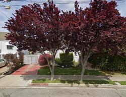 Broadmoor Blvd