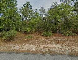  Black Willow Dr