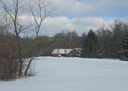 Pulaski