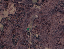 Dawson Springs