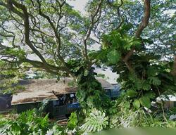  Walua Rd