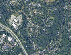  Wolf River Ln