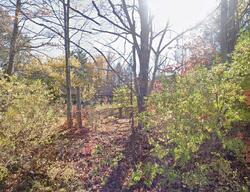  Braumiller Rd