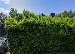  Se 52nd Ave