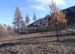  Seven Lakes Rd