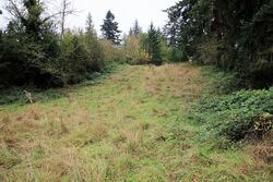  Auburn Way S