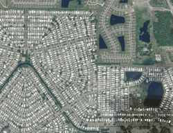 Wedelia Dr