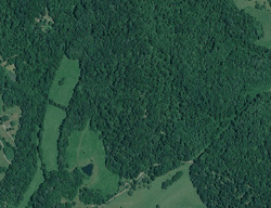  Shotwell Hollow Rd