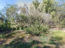  Olive Vista Dr