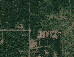  Borg Rd
